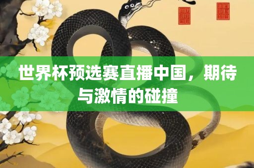 世界杯预选赛直播中国，期待与激情的碰撞