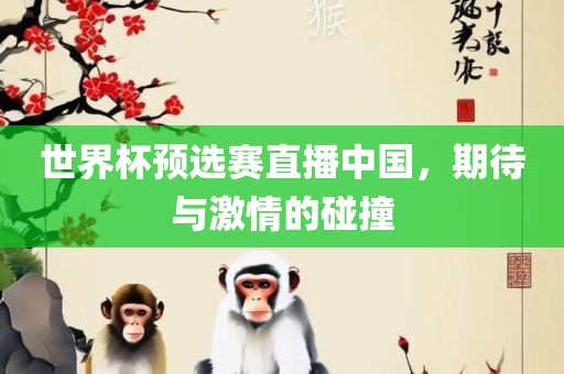世界杯预选赛直播中国，期待与激情的碰撞