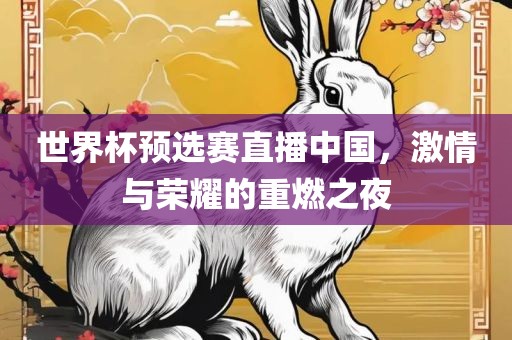 世界杯预选赛直播中国，激情与荣耀的重燃之夜