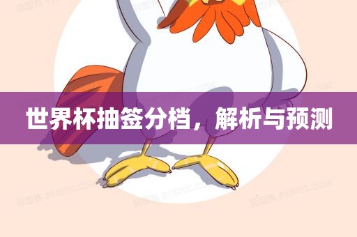 世界杯抽签分档，解析与预测