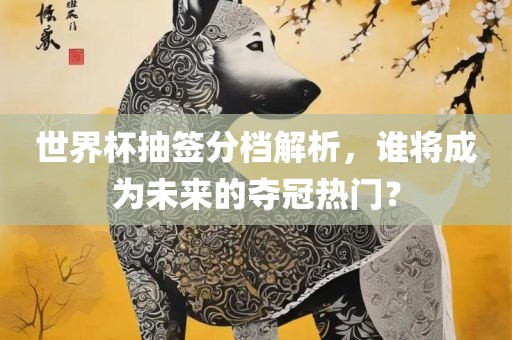 世界杯抽签分档解析，谁将成为未来的夺冠热门？