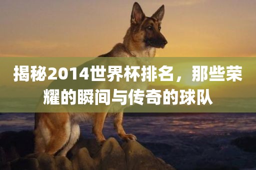 揭秘2014世界杯排名，那些荣耀的瞬间与传奇的球队眉山市正发家政服务有限公司