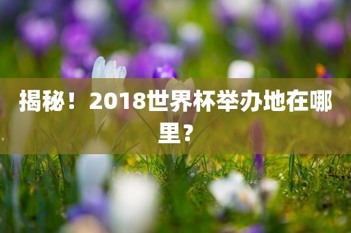 揭秘！2018世界杯举办地在哪里？