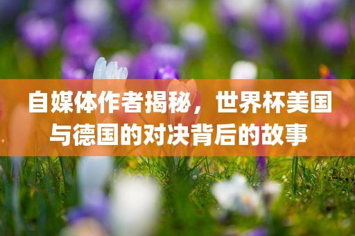 自媒体作者揭秘，世界杯美国与德国的对决背后的故事眉山市正发家政服务有限公司