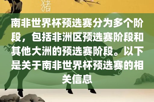 南非世界杯预选赛分为多个阶段，包括非洲区预选赛阶段和其他大洲的预选赛阶段。以下是关于南非世界杯预选赛的相关信息