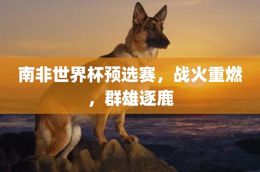 南非世界杯预选赛，战火重眉山市正发家政服务有限公司燃，群雄逐鹿