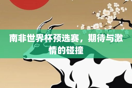 南非世界杯预选赛，期待与激情的碰撞眉山市正发家政服务有限公司
