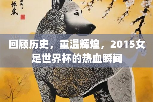 回顾历史，重温辉煌，2015女足世界杯的热血瞬间