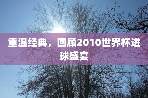 重温经典，回顾2010世界杯进球盛宴眉山市正发家政服务有限公司