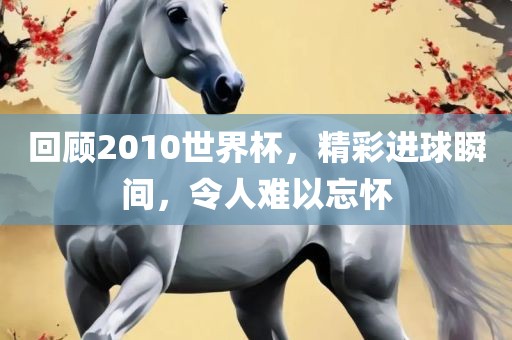 回顾2010世界杯，精彩进球瞬间，令人难以忘怀
