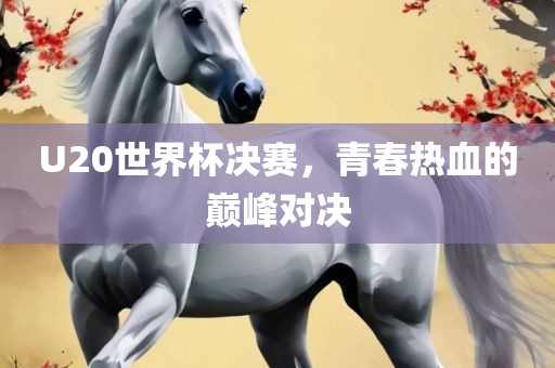 U20世界杯决赛，青春热血眉山市正发家政服务有限公司的巅峰对决
