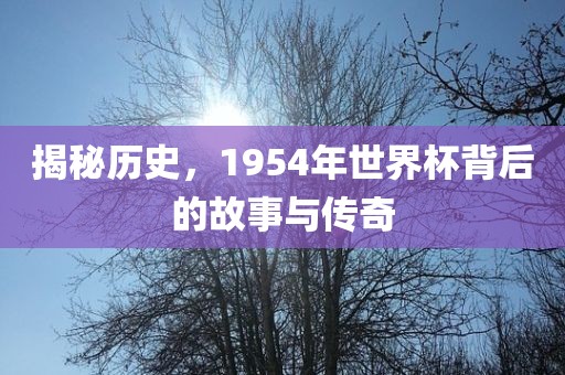 揭秘历史，1954年世界杯背后的故事与传奇眉山市正发家政服务有限公司