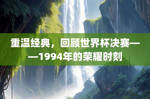 重温经典，回顾世界杯决赛——1994年的荣耀时刻眉山市正发家政服务有限公司