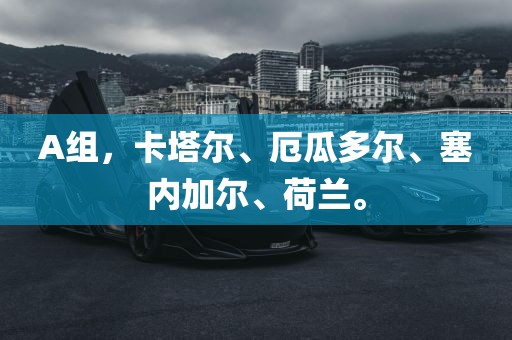 A组，卡塔尔、厄瓜多尔、塞内加尔、荷兰。