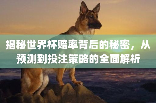 揭秘世界杯赔率背后的秘密，从预测到投注策略的全面解析