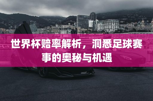 世界杯赔率解析，洞悉足球赛事的奥秘与机遇