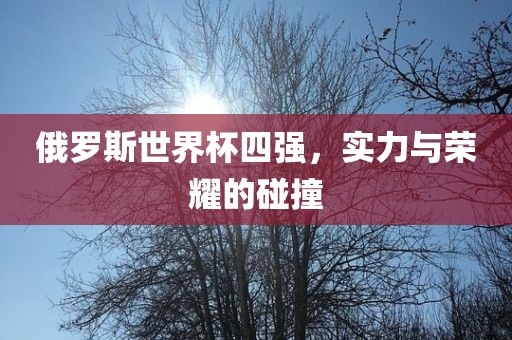 俄罗斯世界杯四强，实力与荣耀的碰撞眉山市正发家政服务有限公司