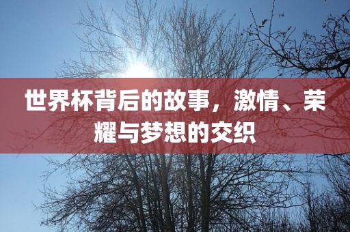 世界杯背后的故事，激情、荣耀与梦想的交织眉山市正发家政服务有限公司