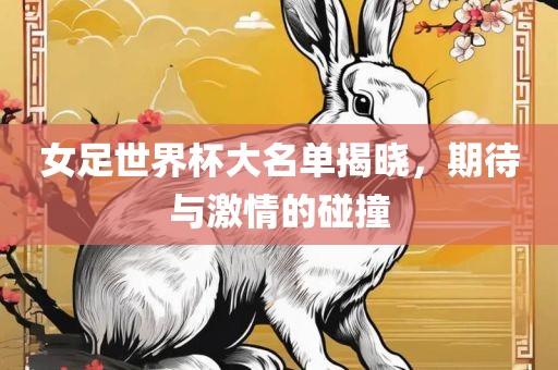 眉山市正发家政服务有限公司女足世界杯大名单揭晓，期待与激情的碰撞