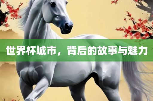 世界杯城市，背后的故事与魅力