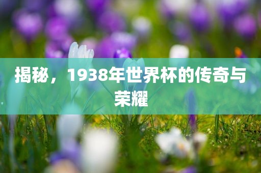 揭秘，1938年世界杯的传奇与荣耀眉山市正发家政服务有限公司