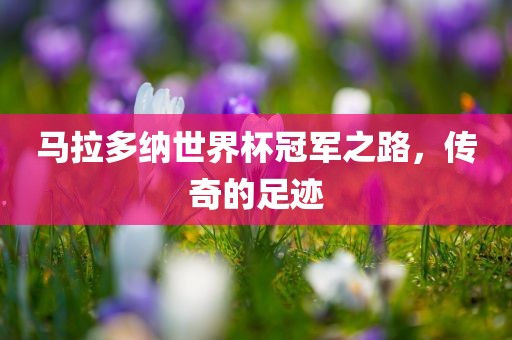 马拉多纳世界杯冠军之路，传奇的足迹