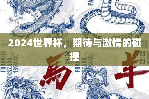 2024世界杯，期待与激情的碰撞