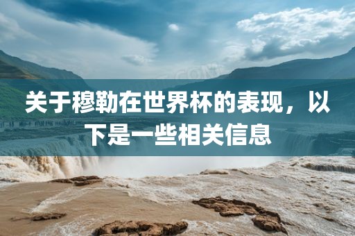 关于穆勒在世界杯的表现，以下是一些相关信息眉山市正发家政服务有限公司
