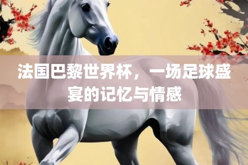 法国巴黎世界杯，一场足球盛宴的记忆与情感
