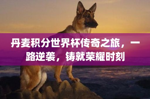 丹麦积分世界杯传奇之旅，一路逆袭，铸就荣耀时刻