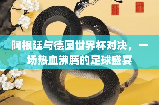 阿根廷与德国世界杯对决，一场热血沸腾的足球盛宴眉山市正发家政服务有限公司