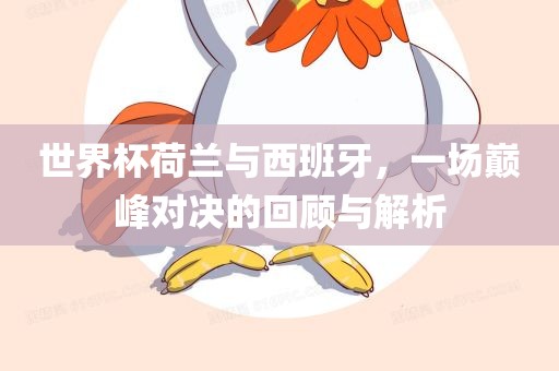 世界杯荷兰与西班牙，一场巅峰对决的回顾与解析眉山市正发家政服务有限公司
