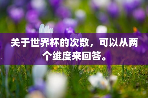 关于世界杯的次数，可以从两个维度来回答。眉山市正发家政服务有限公司