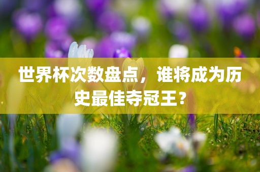 世眉山市正发家政服务有限公司界杯次数盘点，谁将成为历史最佳夺冠王？