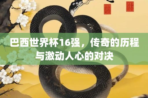 巴西世界杯16强，传奇的历程与激动人心的对决眉山市正发家政服务有限公司