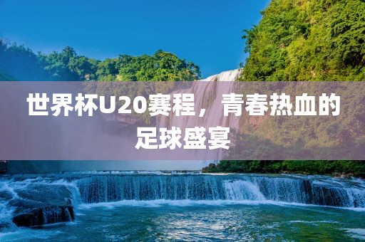 世界杯U20赛程，青春热血的足球盛宴