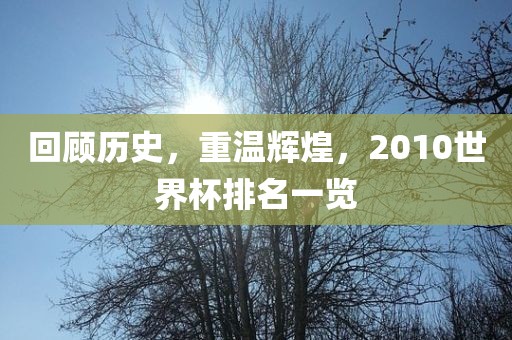 回顾历史，重温辉煌，2010世界杯排名一览眉山市正发家政服务有限公司