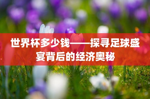 世界杯多少钱——探寻足球盛宴背后的经济奥秘