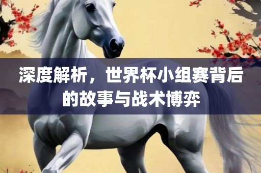 深度解析，世界杯小组赛背后的故事与战术博弈眉山市正发家政服务有限公司