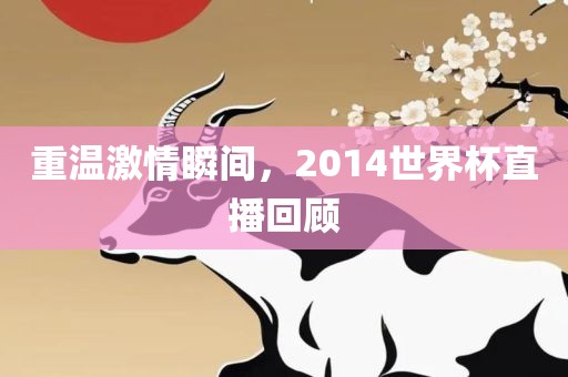 重温激情瞬间，2014世界杯直播回顾眉山市正发家政服务有限公司