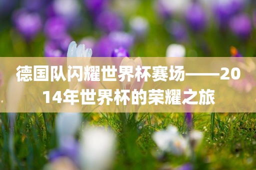 德国队闪耀世界杯赛场——2014年世界杯的荣耀之旅眉山市正发家政服务有限公司
