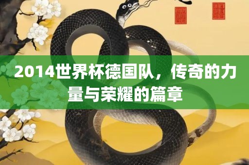2014世界杯德国队，传奇的力量与荣耀的篇章