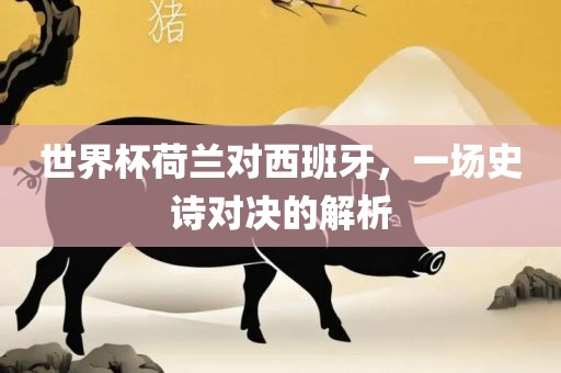 世界杯荷兰对西班牙，一场史诗对决的解析