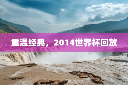 重温经典，2014世界杯回放眉山市正发家政服务有限公司