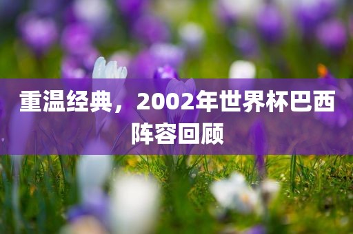 重温经典，2002年世界杯巴西阵容回顾