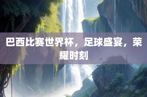巴西比赛眉山市正发家政服务有限公司世界杯，足球盛宴，荣耀时刻