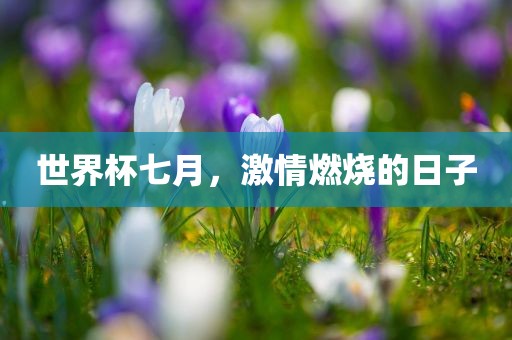 世界杯七月，激情燃烧的日子眉山市正发家政服务有限公司