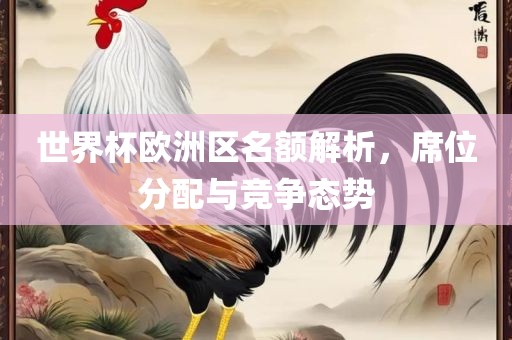 世界杯欧洲区名额解析，席位分配与竞争态势