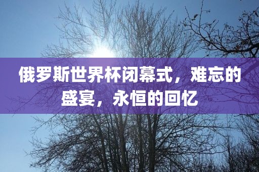 俄罗斯世界杯闭幕式，难忘的盛宴，永恒的回忆眉山市正发家政服务有限公司