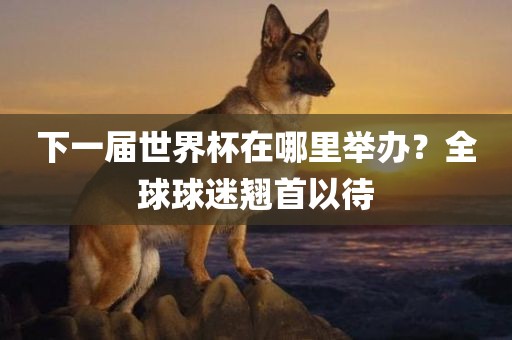 下一届世界杯在哪里举办？全球球迷翘首以待